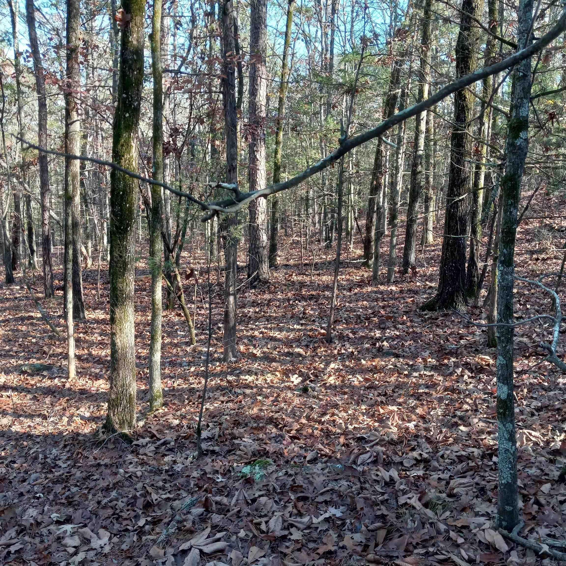 For Sale Lot 4 Mill Creek Road, Higden, AR 72067 25,000, MLS