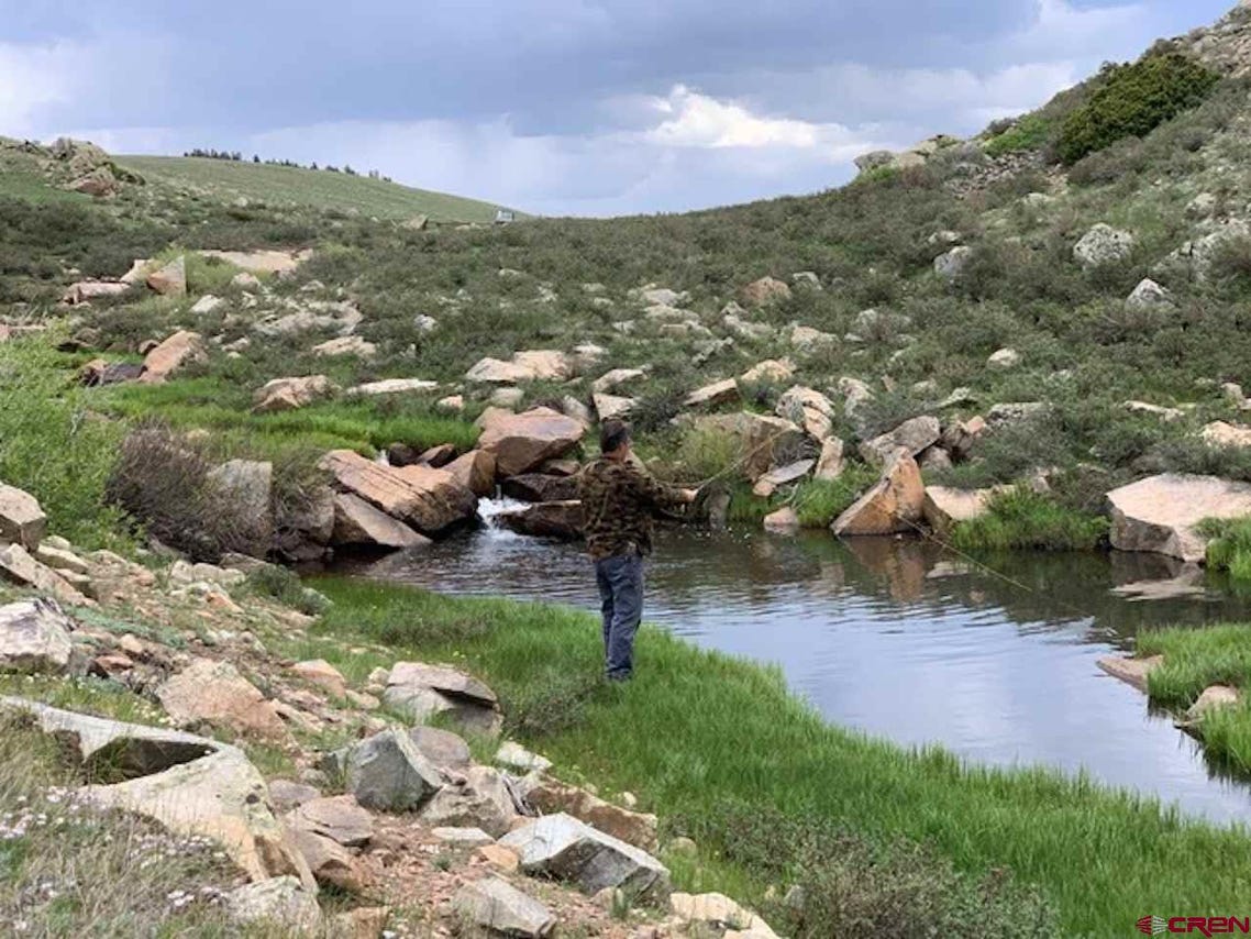 Tres Piedras, NM 87577 SOLD LISTING MLS 765644