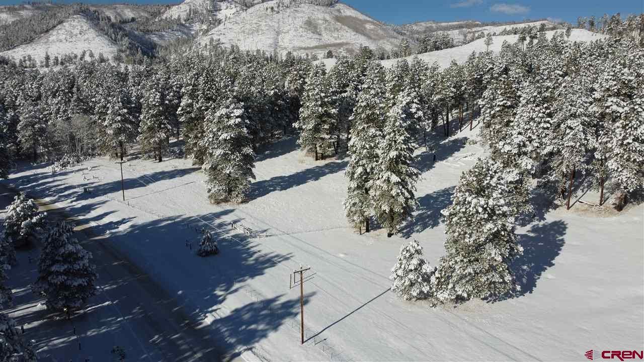 For Sale TBD County Road 501, Vallecito Lake/Bayfield, CO 81122 16.