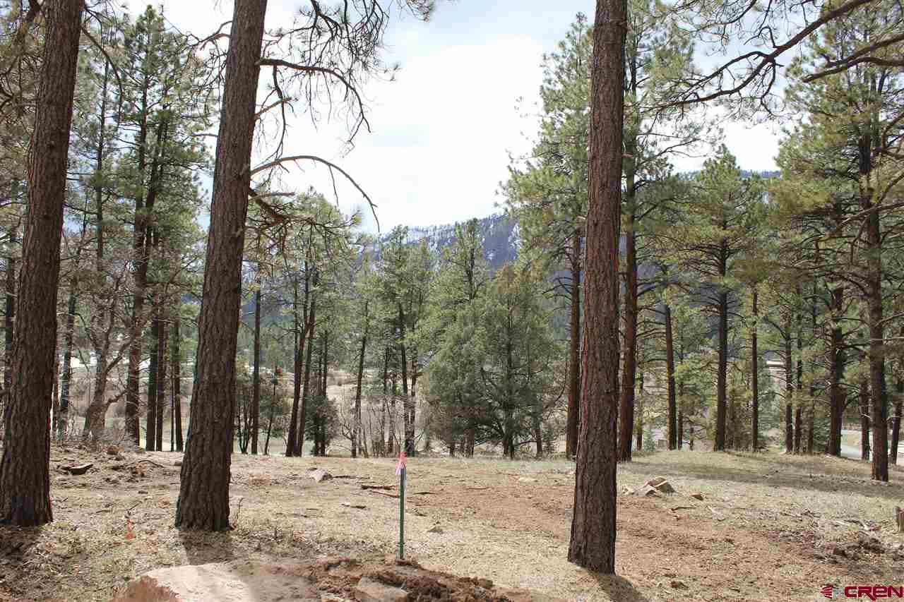 232 Hogan, Durango, CO 81301 SOLD LISTING MLS 780537