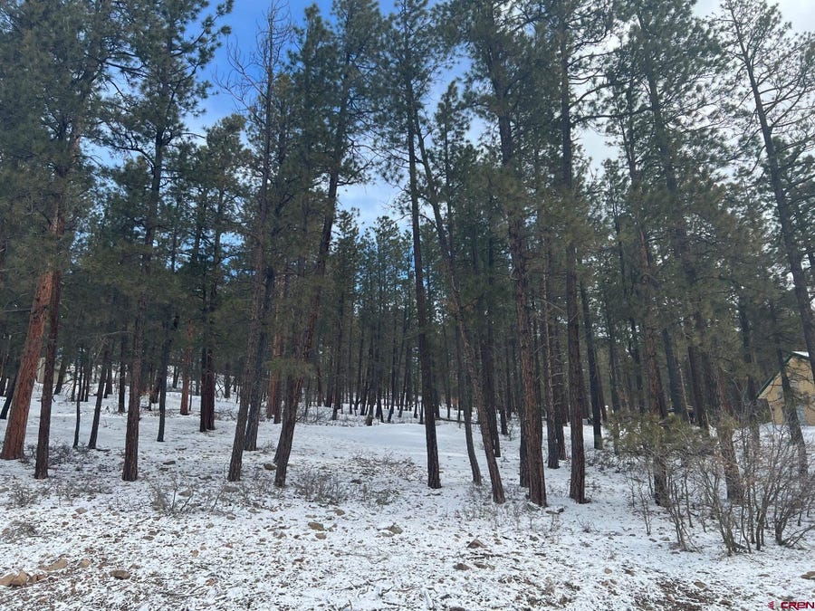 Property photo for Lot 202 Pine Tree, Bayfield, CO