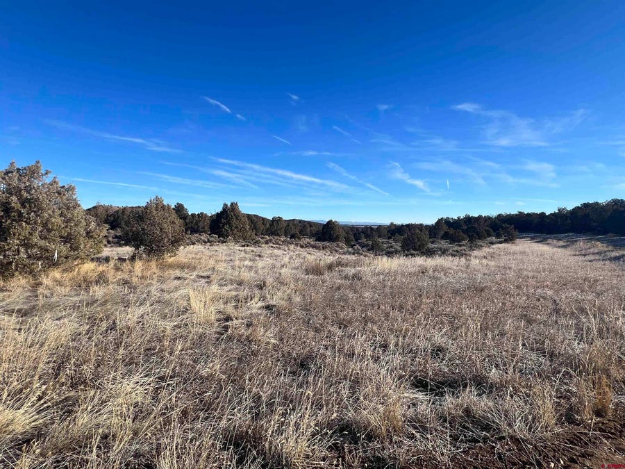 New Real Estate For Sale in Durango, CO Wells Group Real Estate