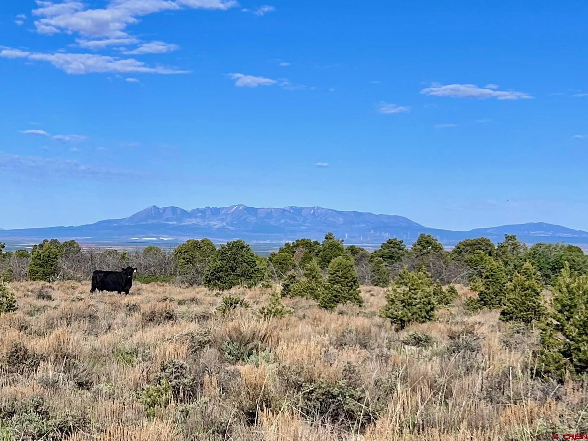 LOT 4 Road J.7, Egnar, CO 81325 MLS 814147